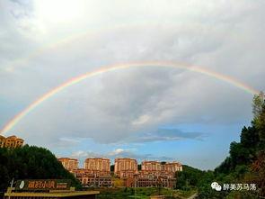 彩虹总在风雨后,风雨后的美好瞬间